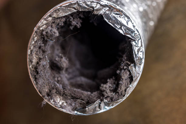 Best Commercial Air Duct Cleaning  in Sabetha, KS